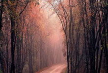 蒂格:我的外祖父出生在中国海南,我为我的中国背景感到骄傲.