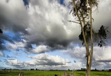 意甲冠军玩不转沙特超?意媒:皮奥利与C罗关系紧张 帅位危矣.