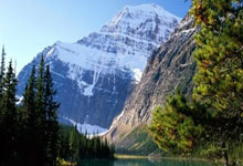 琼托利:所有人都希望共同走出困境,一起思考解决问题.