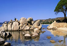 意甲冠军玩不转沙特超?意媒:皮奥利与C罗关系紧张 帅位危矣.